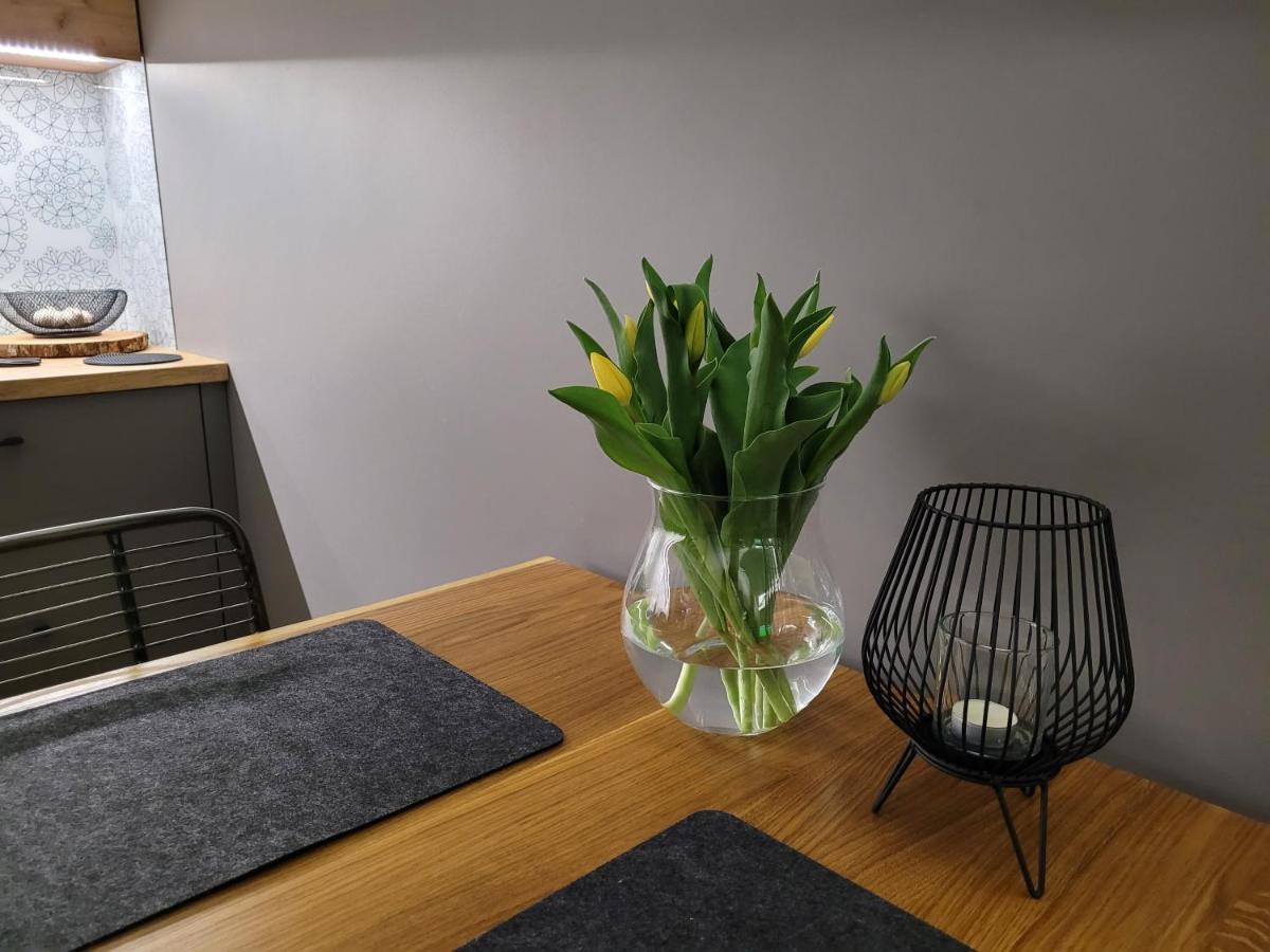 Apartament Wislanskie Skije 外观 照片