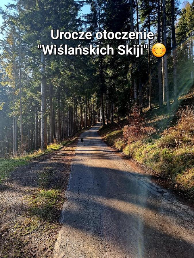 Apartament Wislanskie Skije 外观 照片